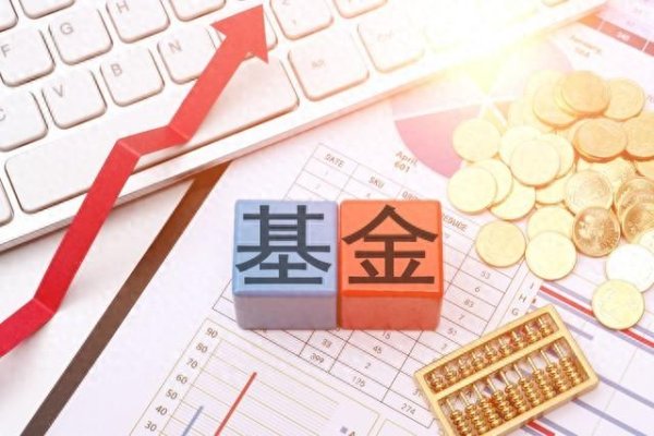 第一配资网 养基日记: 落袋为安, 拿到手里的收益, 才是真正属于自己的!