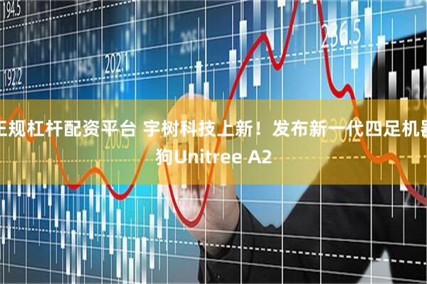 正规杠杆配资平台 宇树科技上新！发布新一代四足机器狗Unitree A2