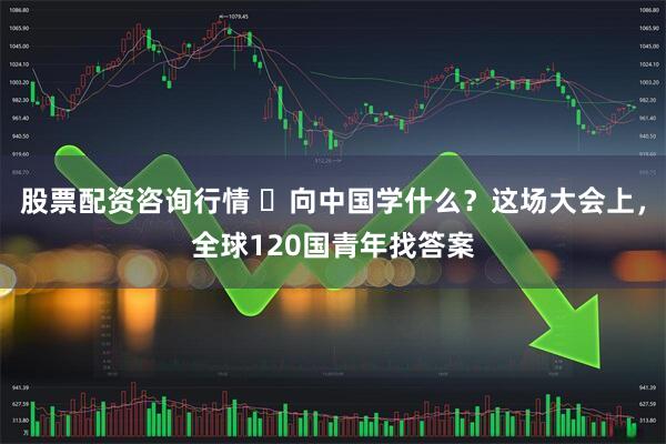 股票配资咨询行情 ​向中国学什么？这场大会上，全球120国青年找答案